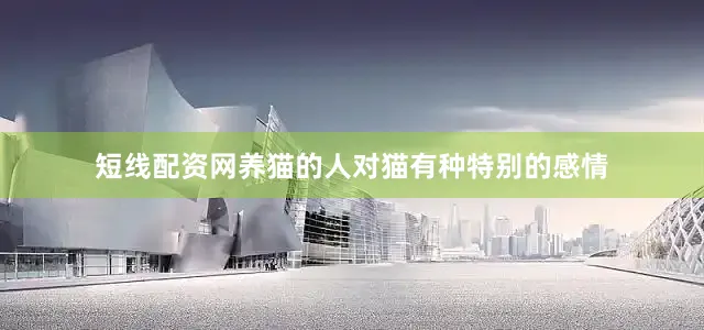 短线配资网养猫的人对猫有种特别的感情