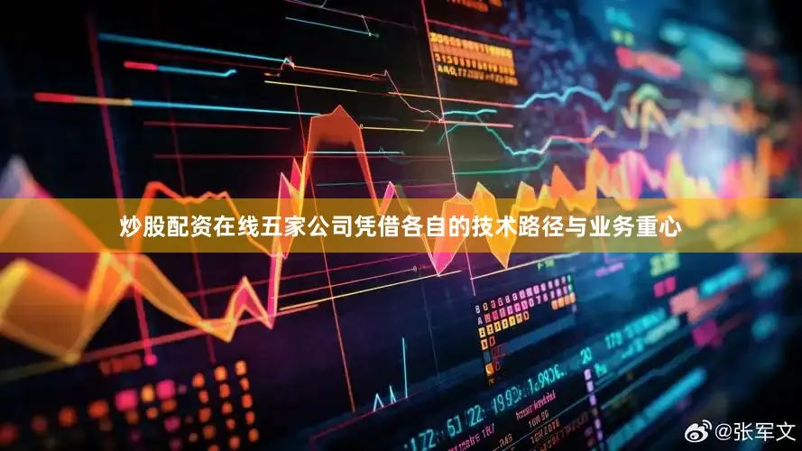 炒股配资在线五家公司凭借各自的技术路径与业务重心