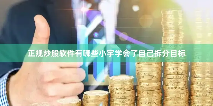 正规炒股软件有哪些小宇学会了自己拆分目标