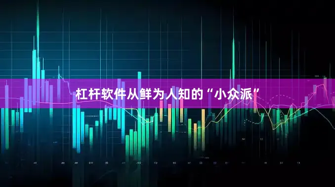杠杆软件从鲜为人知的“小众派”