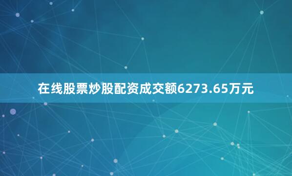 在线股票炒股配资成交额6273.65万元